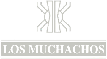 Los muchachos